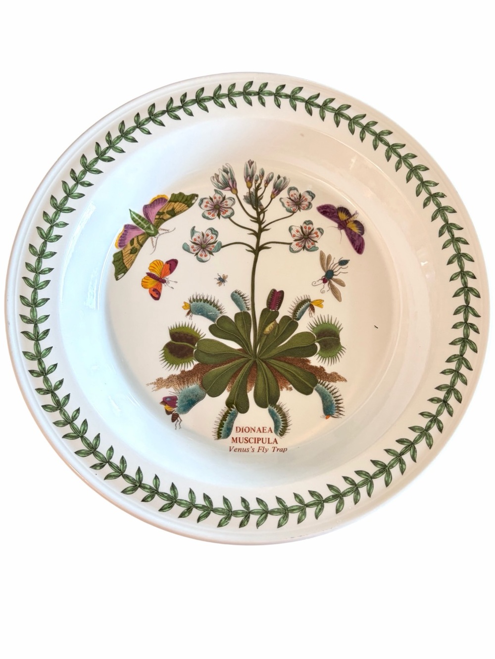 Portmeirion Pottery Botanical Collection Venus Fly Trap 10.5” Plate Discontinued